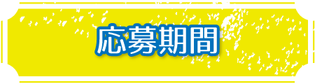 応募期間